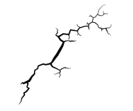 Fissure(s)